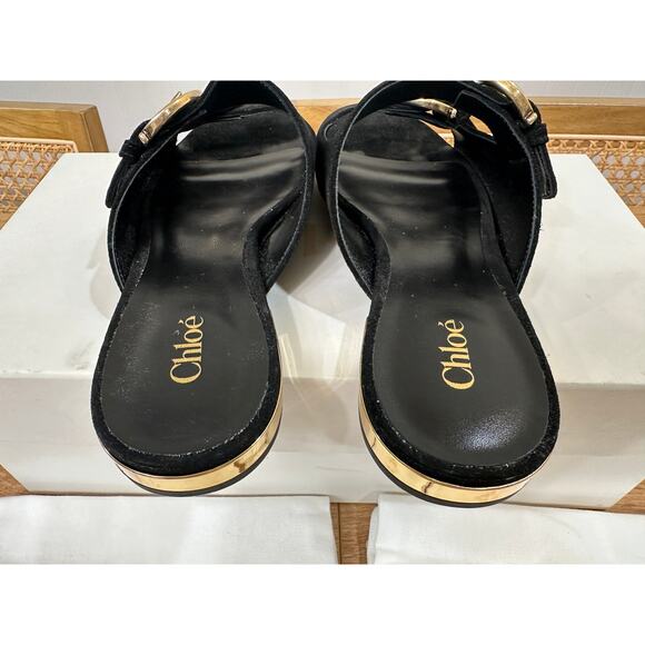Chloé Alizè Flat Sandals Slides Black Suede Size 8 US 38 EU NIB Gold Buckles - Picture 9 of 16